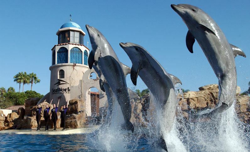 Holiday Inn San Antonio Northwest- Seaworld Area By Ihg Dış mekan fotoğraf